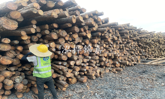 松木樁是什么，松木樁的用途有哪些-松木樁介紹