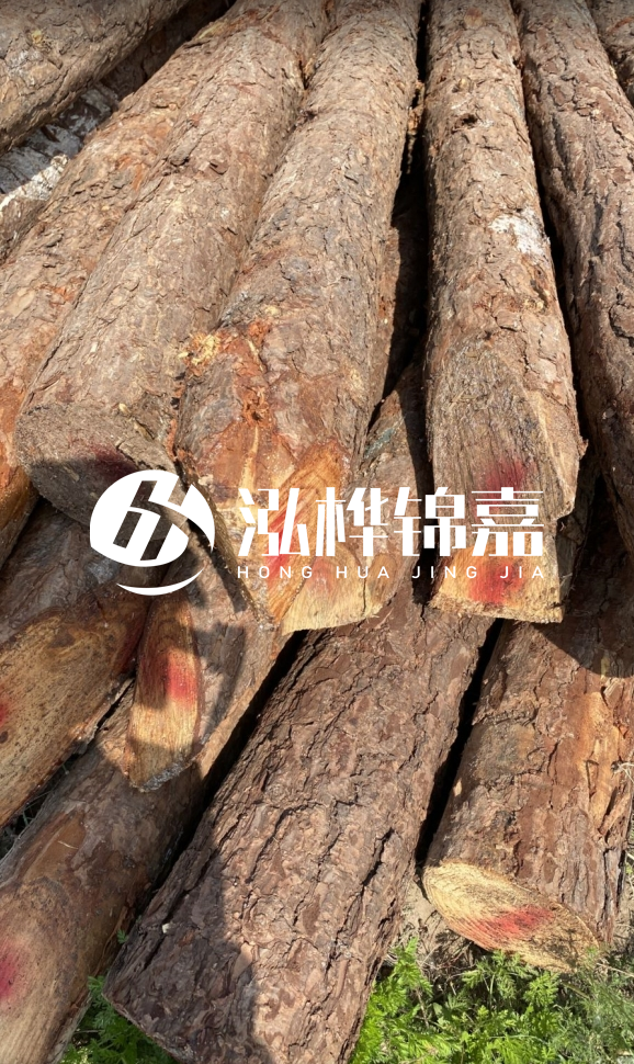 <strong>松木樁和杉木樁的用途區(qū)別？哪個更適合打樁用？</strong>
