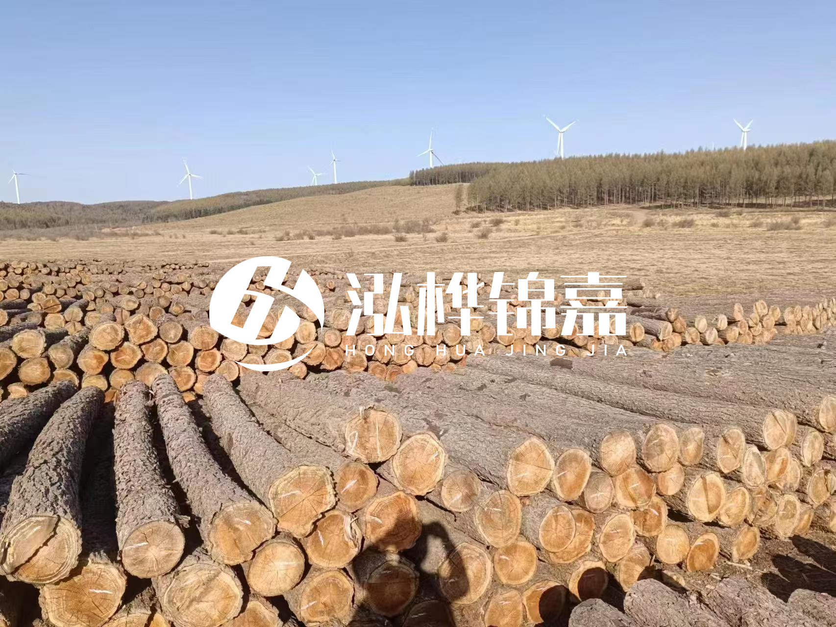 咸寧松木樁源頭廠家-哪里能買到質(zhì)量好的松木樁打樁木？