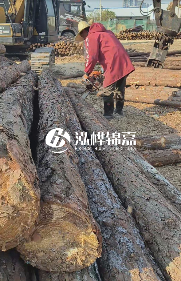 長沙打樁木批發(fā)廠家在哪里？聯(lián)系方式是什么？