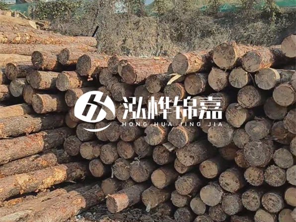 落葉松木材的主要產(chǎn)地在哪里？為什么比其他松木更耐腐蝕？
