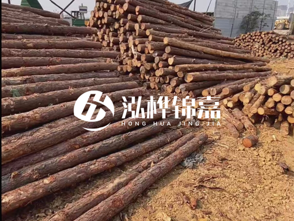 河道木樁施工遇到淤泥怎么辦？打多深才能防沖刷？