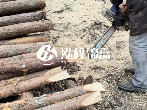 杉木樁批發(fā)廠家哪家好？產(chǎn)地直供渠道推薦！