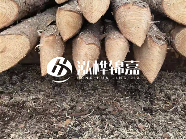 打樁木樁與鋼樁相比有哪些優(yōu)缺點(diǎn)？如何進(jìn)行后期維護(hù)？