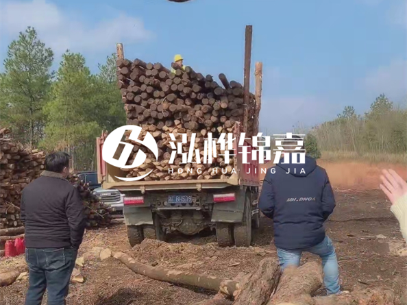 松木樁價格是按米算還是按根算？6米松木樁批發(fā)價每根多少錢？