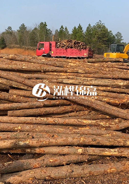 8米小頭11-13CM的松木樁價格是多少？打樁施工怎么算？