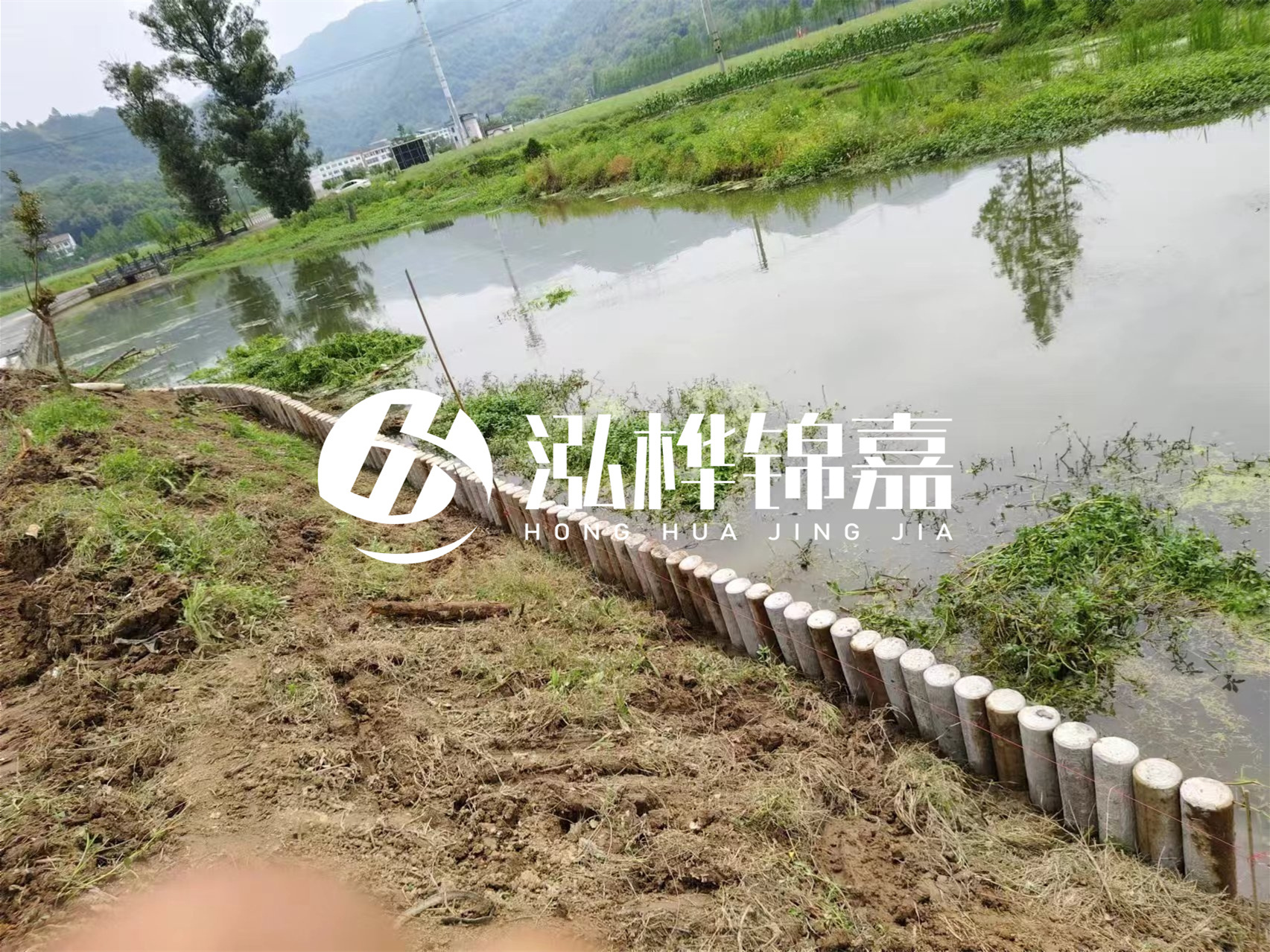 松木樁加固河道與水泥樁對比如何？哪一種更加適合您？