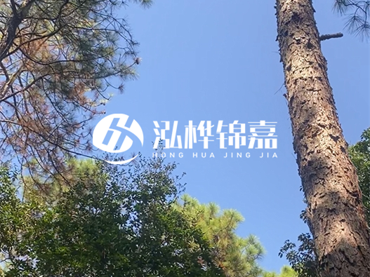 松木樁廠家泓樺錦嘉可以實地考察嗎？需要提前預(yù)約嗎？