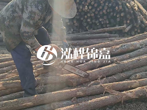 廣東打樁木源頭廠家泓樺錦嘉 - 如何選擇適合特定邊坡的松木樁？