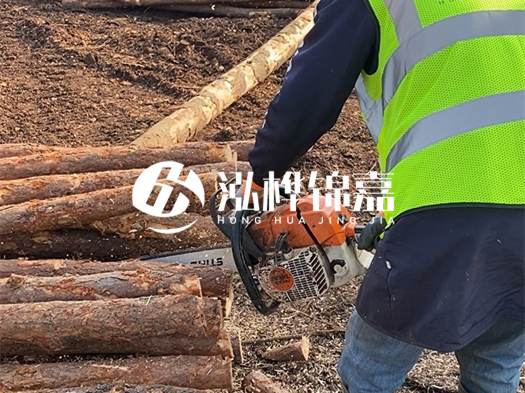 河道打木樁多少錢(qián)一根？5米直徑10松木樁打樁多少錢(qián)？