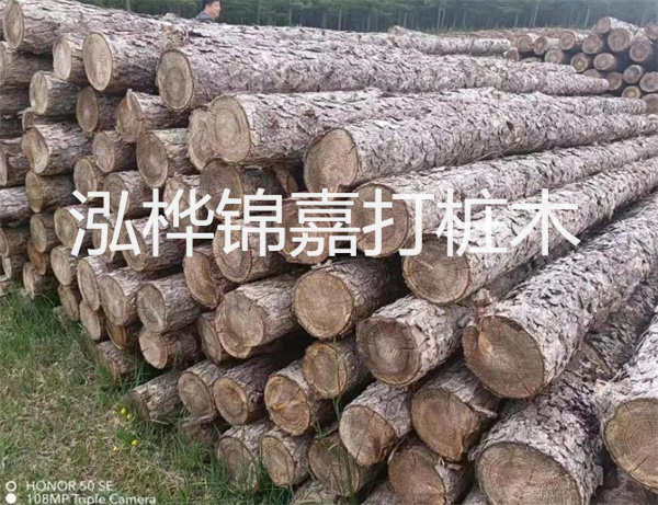 高效修補，保駕護航！水泥路面高強度修補料為您解決煩惱！