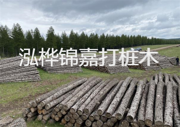 鋼結(jié)構(gòu)施工方案大全免費提供，助力工程建設(shè)