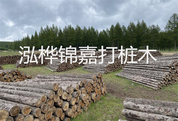 預(yù)制松木樁施工工藝：優(yōu)質(zhì)材料，高效快速，堅(jiān)固耐用