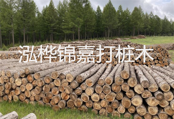 松木樁能施工嗎？探究視頻揭秘真相！