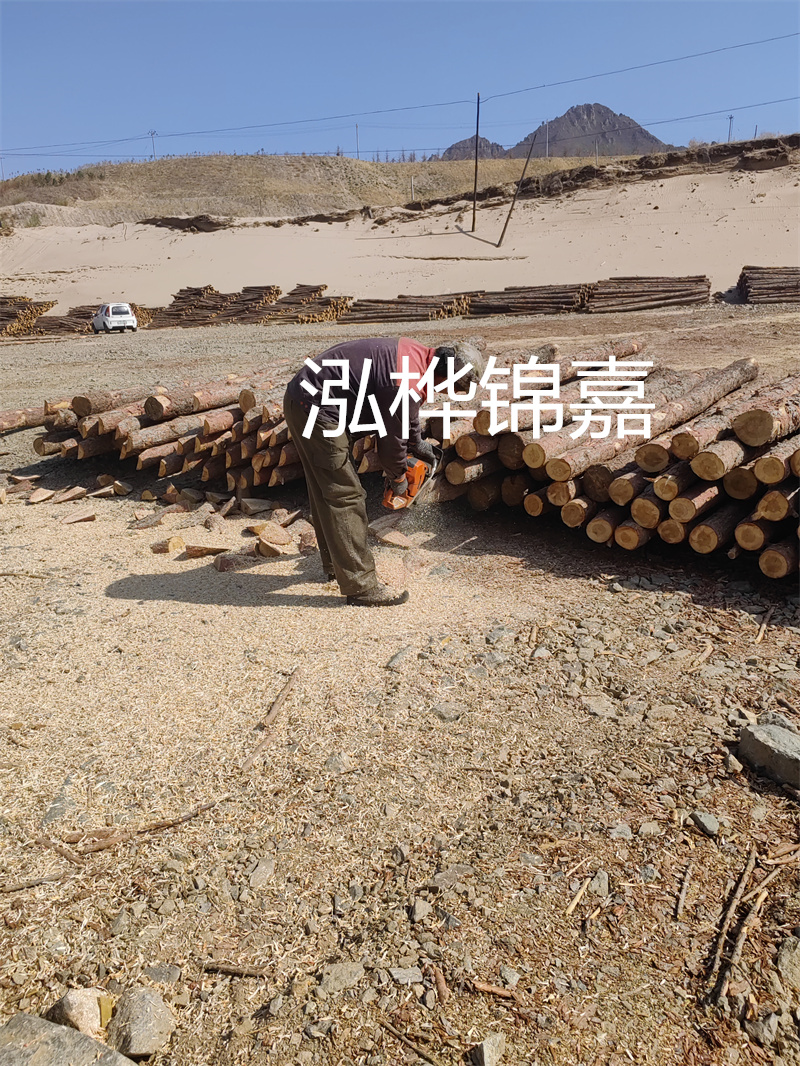 松木樁駁岸施工，打造水上風景線