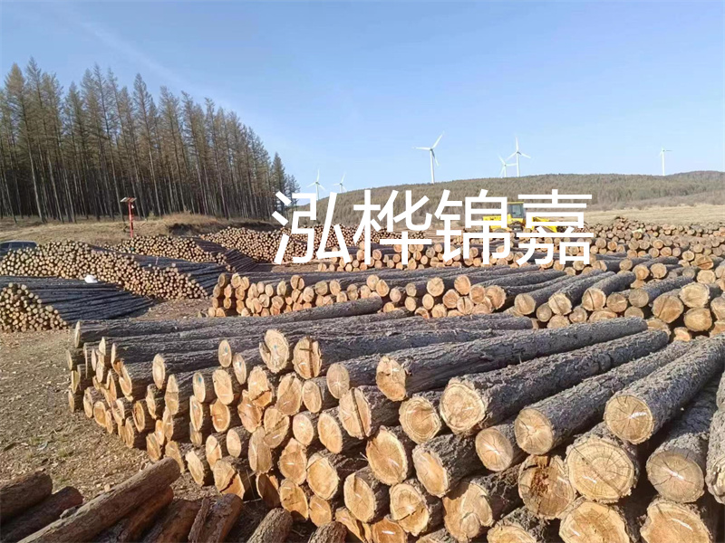 用路基松木樁施工方案提升工程質(zhì)量描述：了解路基松木樁施工方案的重要性，提高工程質(zhì)量關(guān)鍵詞：路基松木樁，施工方案，工程質(zhì)量