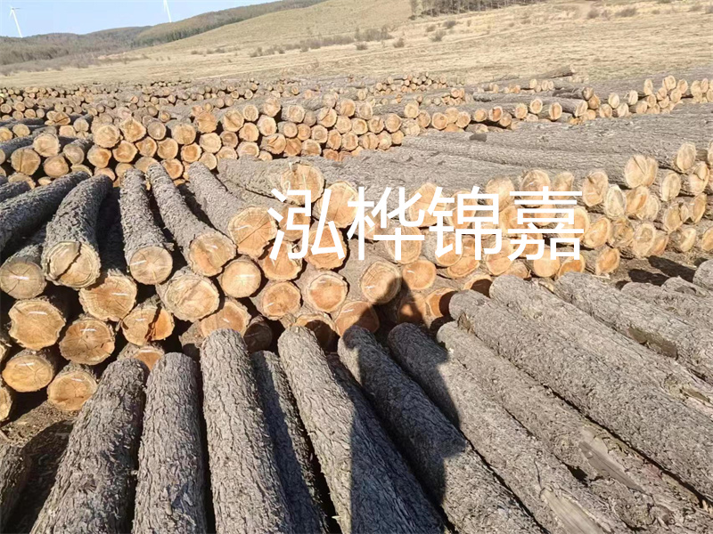 選擇合適的路緣石尺寸，打造美麗道路
