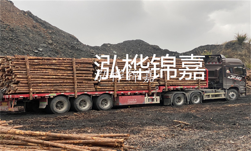 大理松木樁哪里賣？選擇合適的松木樁來保護(hù)你的建筑