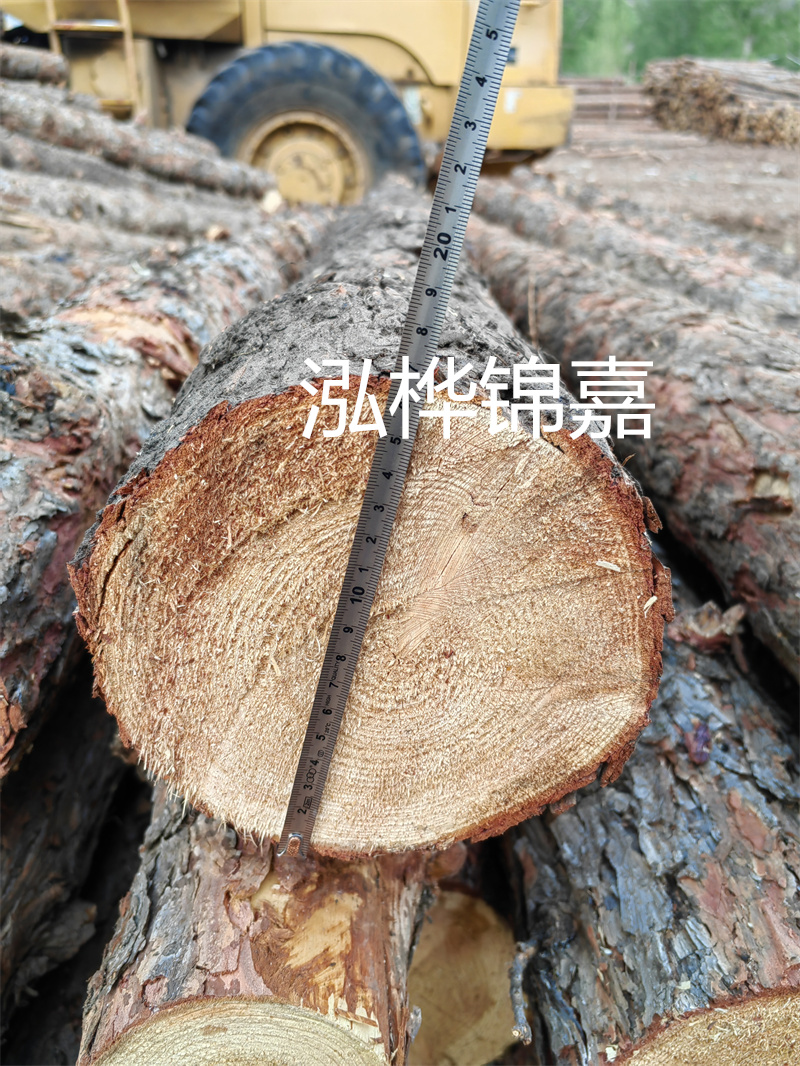 佛山哪里賣松木樁？這幾家銷售商值得您關(guān)注！